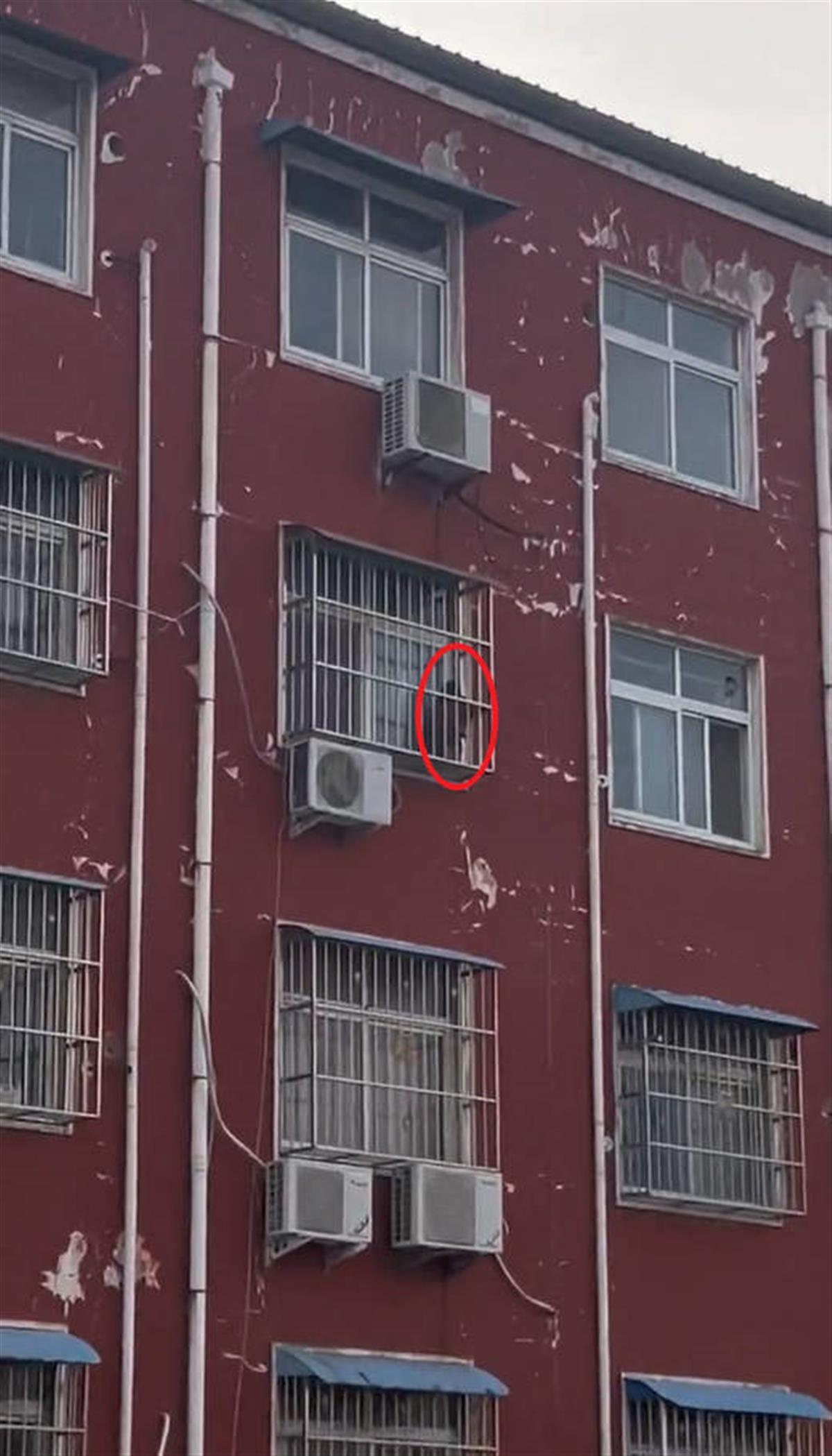 幼童被独自放在五楼防盗窗护栏上玩当地：已批评教育家长(图1)