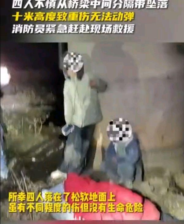 高速路一家4口翻越护栏站在铁丝网上承重不足跌落10米高桥(图2)